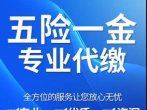 社保代繳補繳、公積金咨詢、個稅代辦與檔案辦理全方位指南